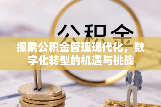 盐山探索公积金管理现代化，数字化转型的机遇与挑战
