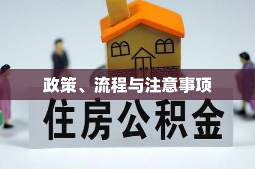 盐山政策、流程与注意事项
