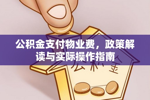 盐山公积金支付物业费，政策解读与实际操作指南
