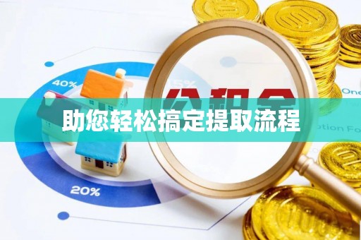盐山助您轻松搞定提取流程