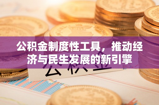 盐山公积金制度性工具，推动经济与民生发展的新引擎