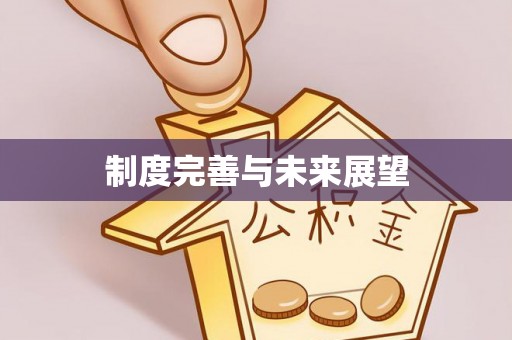 盐山制度完善与未来展望