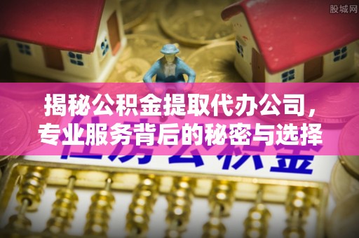 盐山揭秘公积金提取代办公司，专业服务背后的秘密与选择指南