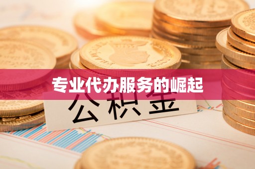 盐山专业代办服务的崛起