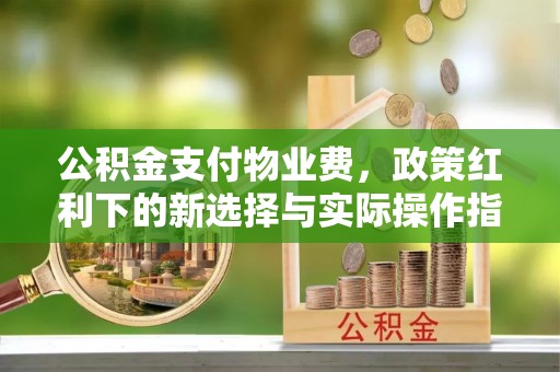 盐山公积金支付物业费，政策红利下的新选择与实际操作指南