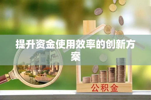 盐山提升资金使用效率的创新方案