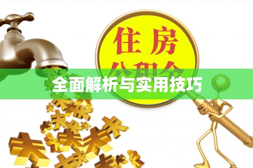 盐山全面解析与实用技巧