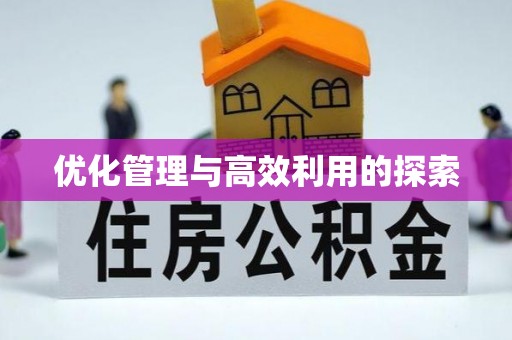 盐山优化管理与高效利用的探索