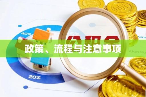 盐山政策、流程与注意事项