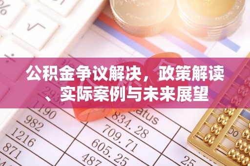 盐山公积金争议解决，政策解读、实际案例与未来展望