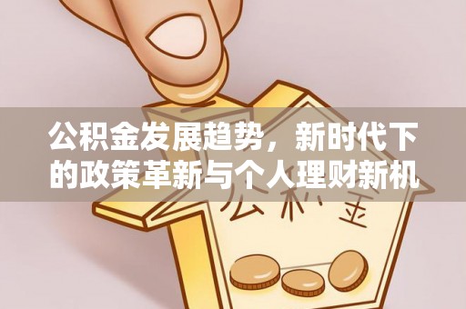 盐山公积金发展趋势，新时代下的政策革新与个人理财新机遇