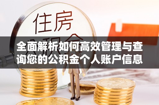 盐山全面解析如何高效管理与查询您的公积金个人账户信息