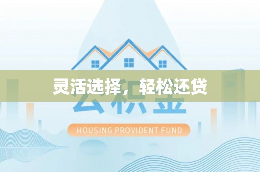 盐山灵活选择，轻松还贷