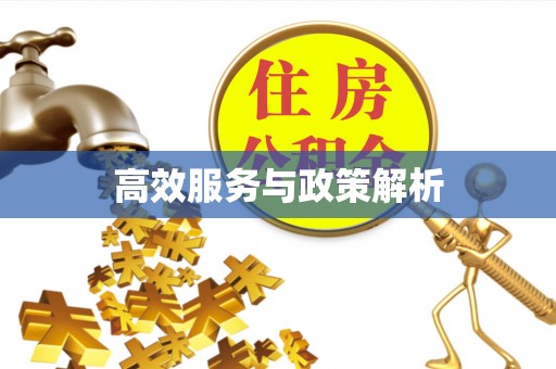 盐山高效服务与政策解析