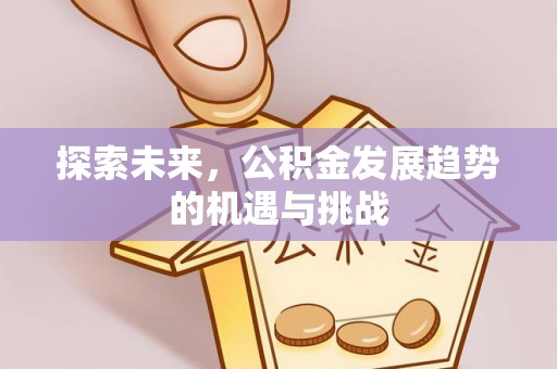 盐山探索未来，公积金发展趋势的机遇与挑战
