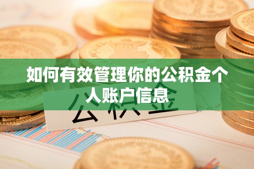 盐山如何有效管理你的公积金个人账户信息