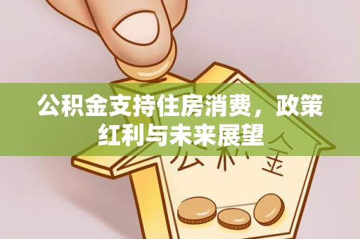 盐山公积金支持住房消费，政策红利与未来展望