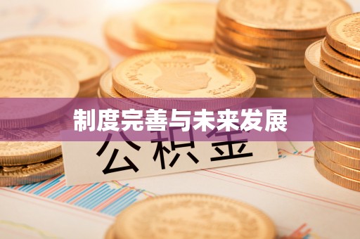 盐山制度完善与未来发展