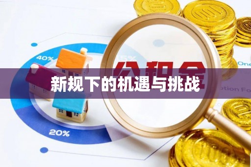 盐山新规下的机遇与挑战