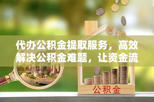 盐山代办公积金提取服务，高效解决公积金难题，让资金流动更自由