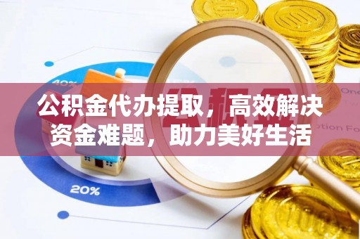 盐山公积金代办提取，高效解决资金难题，助力美好生活