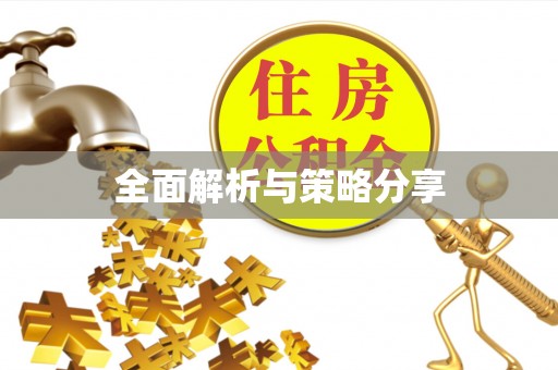 盐山全面解析与策略分享