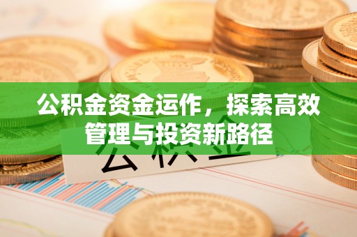 盐山公积金资金运作，探索高效管理与投资新路径