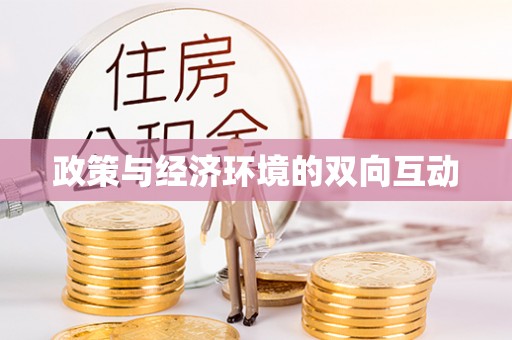 盐山政策与经济环境的双向互动