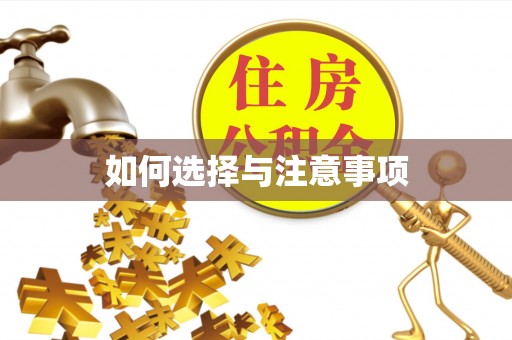 盐山如何选择与注意事项
