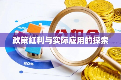 盐山政策红利与实际应用的探索