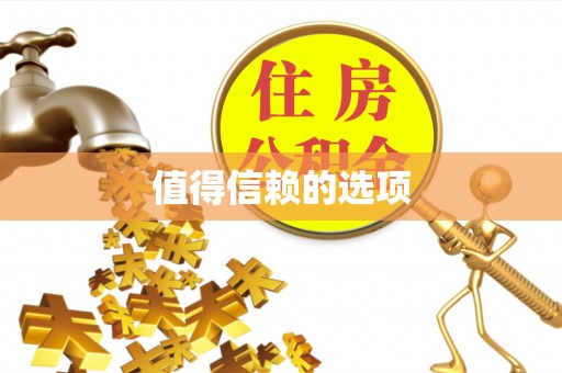 盐山值得信赖的选项