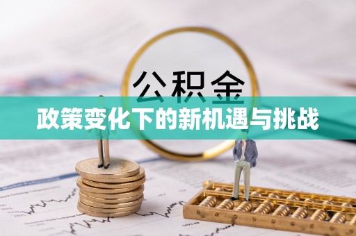 盐山政策变化下的新机遇与挑战