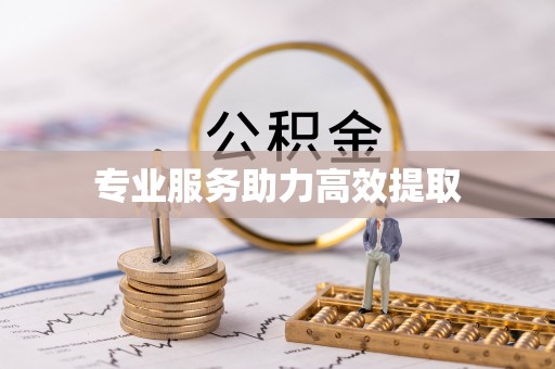 盐山专业服务助力高效提取
