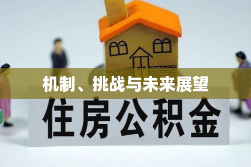 盐山机制、挑战与未来展望