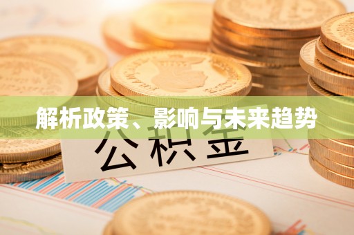 盐山解析政策、影响与未来趋势