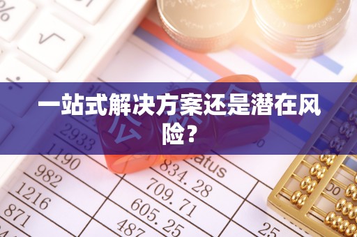 盐山一站式解决方案还是潜在风险？