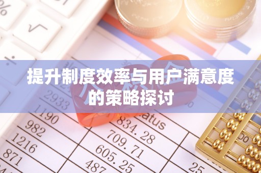 盐山提升制度效率与用户满意度的策略探讨