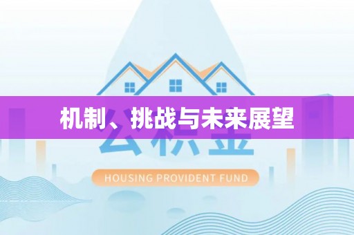 盐山机制、挑战与未来展望